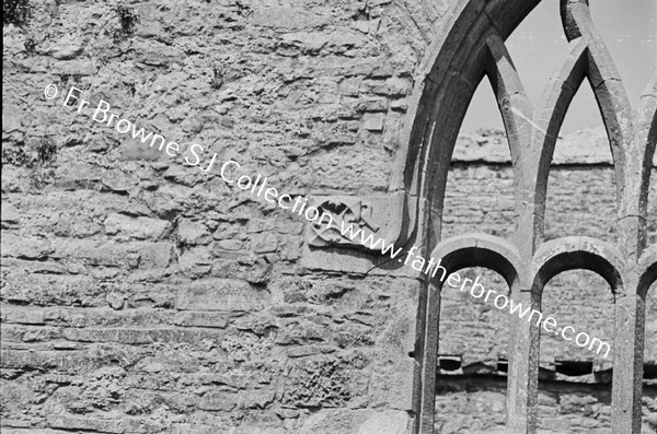 ARDFERT FRIARY SCENES